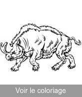 image rhinoceros prehistorique a colorier