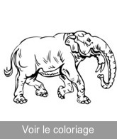 éléphant préhistorique a colorier