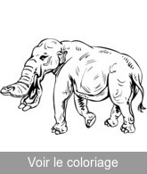 imprimer et colorier éléphant préhistorique