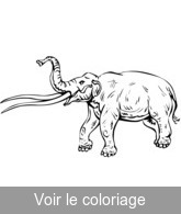 imprimer coloriage éléphant préhistorique