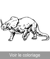 coloriage a imprimer rhinoceros prehistorique