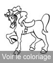 cheval concours trot selle
