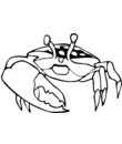 crabe avec une enorme pince