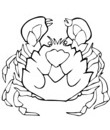 crabe avec pinces etranges