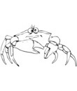 cartoon personnage crabe
