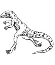 dinosaure raptor vélociraptor carnivore 