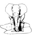 imprimer et colorier elephant