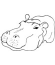 hippopotame coloriage pour impression et coloriage