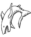 animal mer requin