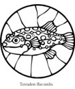 dessin poisson