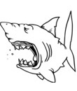 imprimer dessin requin