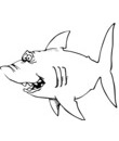 colorier dessin requin