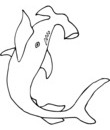 dessin a imprimer requin