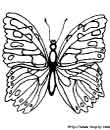 coloriage de papillons