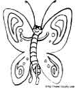 dessin de papillons