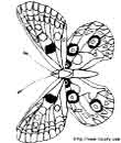 coloriage en ligne de papillons