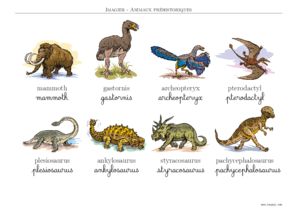 imagier animaux préhistoriques en anglais