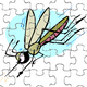  insecte - puzzle en ligne 6