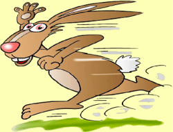 Le lapin coureur