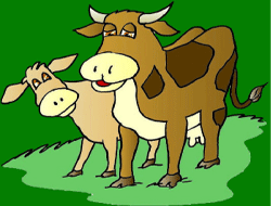 La vache et son petit