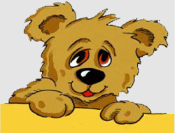Le petit ours