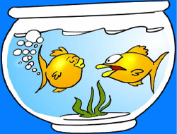 Les poissons dans leur bocal