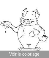cochon porc