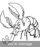 coloriage dessin homard crustacé