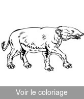 colorier dessin animal préhistorique