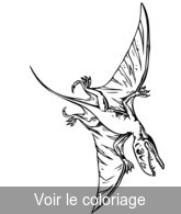 reptile volant préhistorique image  a colorier