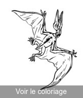 dessin ptérosaure 