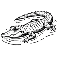 Coloriage Alligator Réaliste Avec Un Corps Allongé et Des Pattes Simples | Toupty.com