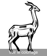 antilope GIF gratuit a colorier