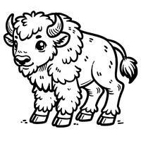 Coloriage jeune bison male | Toupty.com