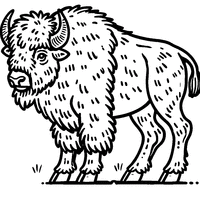 Coloriage bison adulte majestueux | Toupty.com