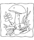 dessin 16 de champignon a imprimer