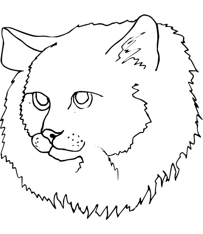 coloriage-chat Page 21