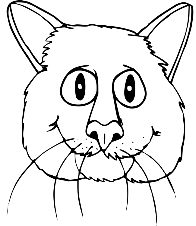 coloriage-chat Page 32