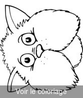 Coloriage tête de chat joufflu en gros plan | Toupty.com