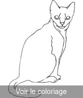 Coloriage chat gris assis | Toupty.com