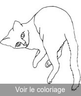 Coloriage chat allongé sur le flan | Toupty.com