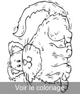 Coloriage chat gardfield | Toupty.com