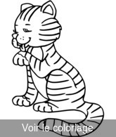 Coloriage chat gris tigré | Toupty.com