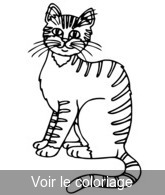 Coloriage Chat tigré gris | Toupty.com