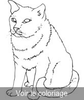 Coloriage chat blanc assis | Toupty.com