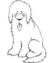 chien saint bernard sauveteur