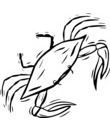 dessin de crabe a colorier