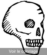 Coloriage Crâne vu de côté | Toupty.com