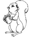ecureuil dessin pour imprimer et colorier
