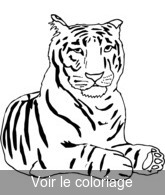 coloriage tigre se repose